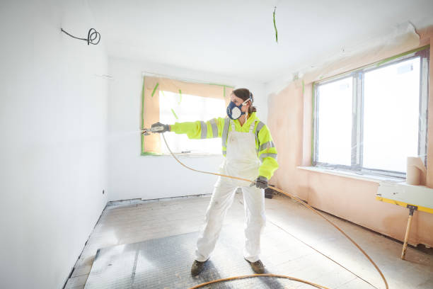Best Black Mold Removal  in South Euclid, OH