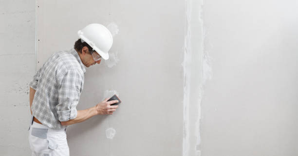 Best Mold Removal for HVAC Installations  in South Euclid, OH