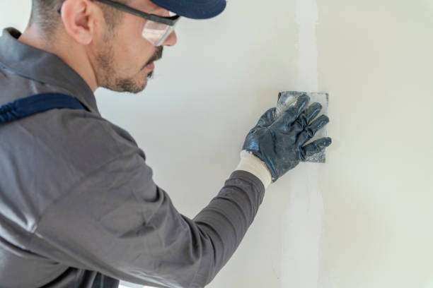 Best Comprehensive Air Testing for Mold Contaminants  in South Euclid, OH