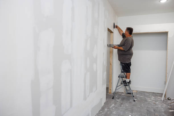 Best Mold Documentation for Insurance Claims  in South Euclid, OH