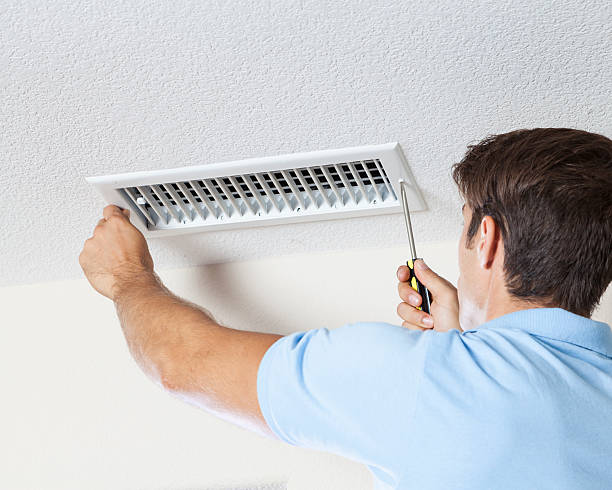 Professional Mold Removal in South Euclid, OH