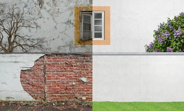 Best Attic Mold Removal  in South Euclid, OH