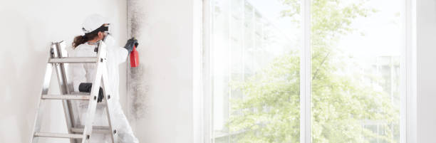 Best Post-Construction Mold Inspection  in South Euclid, OH