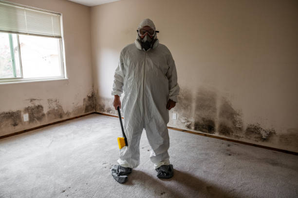 Mold Documentation for Insurance Claims in South Euclid, OH