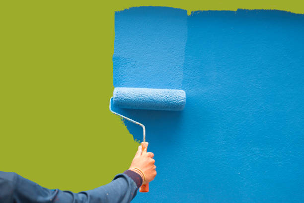 Best Emergency Mold Remediation  in South Euclid, OH