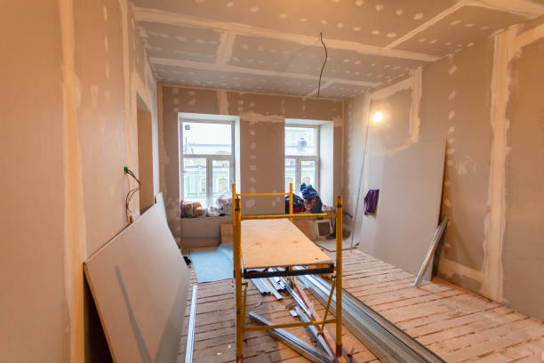 Best Industrial Mold Remediation  in South Euclid, OH