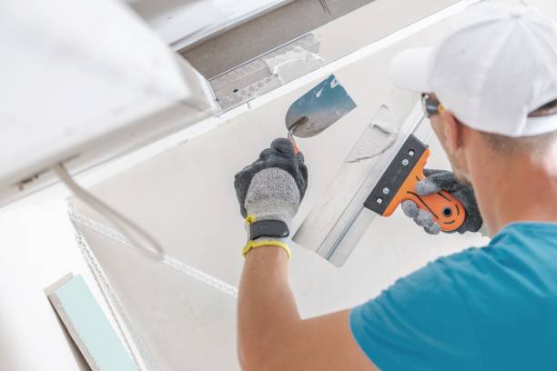 Best Basement Mold Removal  in South Euclid, OH